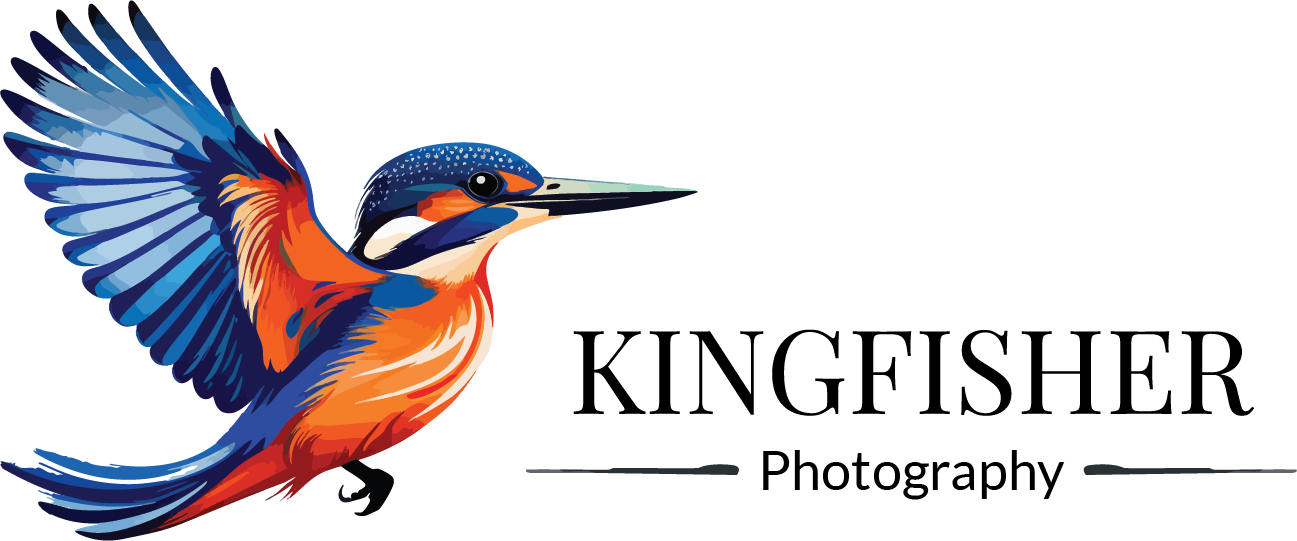 Kingfisher Photography Logo